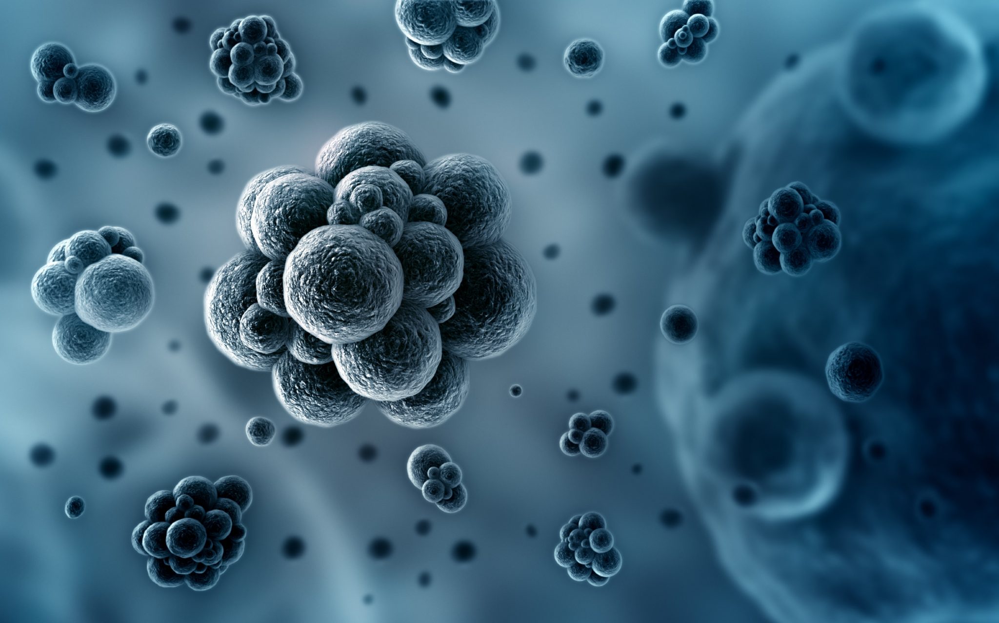 The Role of Gut Flora in Health