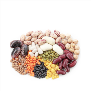 legumes on a Paleo Diet