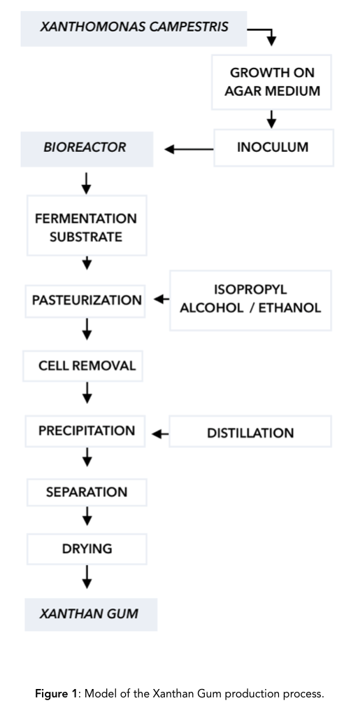 How Xanthan Gum is Made