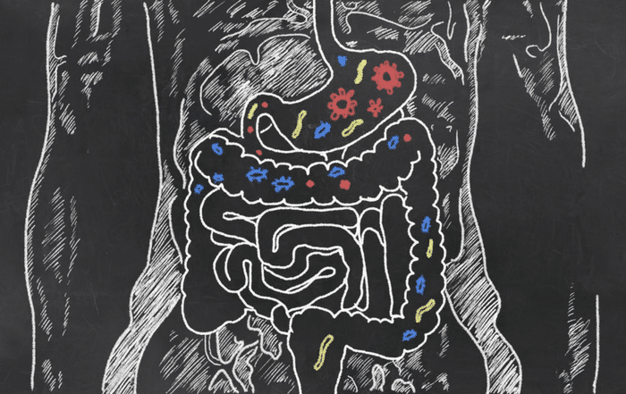 Probiotic Supplements: What You Need To Know Before Buying